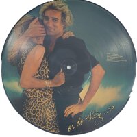 Rod Stewart - Blondes Have More Fun [LP] | Warner Bros. Records - BSP 3276 | US, 1978 | NM/EX