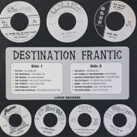 Various - Destination Frantic (14 Garage Greats Of The...