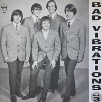 Various - Bad Vibrations Vol. 3 [LP] | Fossil Records -...