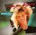 C.C. Catch - Cause You Are Young [LP] | Hansa - 602 144 | Europe, 1986 | G/VG-